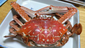 Lifeブログ 保険のデパート ライフサポート ワン 千葉県市川市 Lifeブログ 保険のデパート ライフサポート ワン 千葉県市川市
