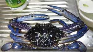 Lifeブログ 保険のデパート ライフサポート ワン 千葉県市川市 Lifeブログ 保険のデパート ライフサポート ワン 千葉県市川市