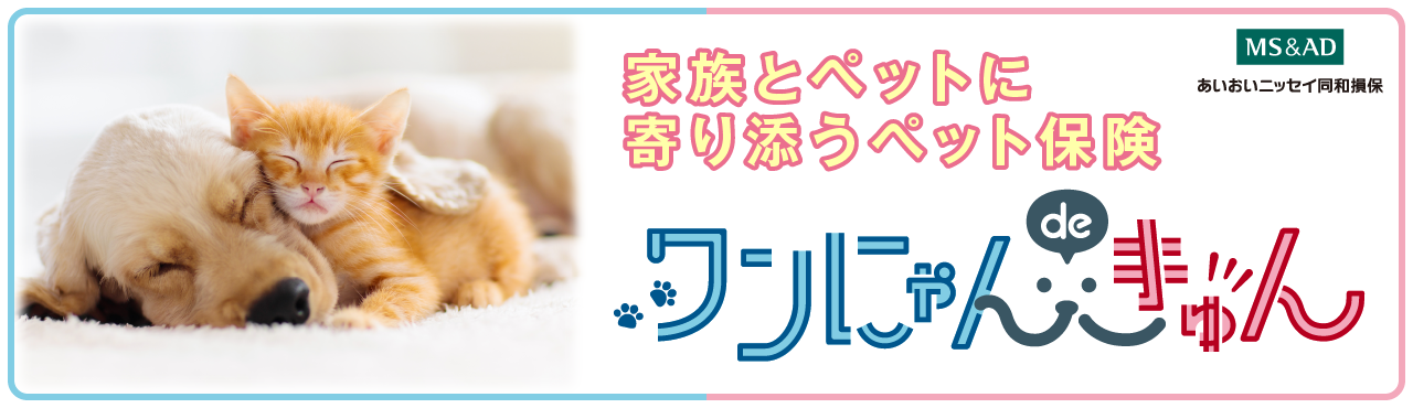おすすめ保険1